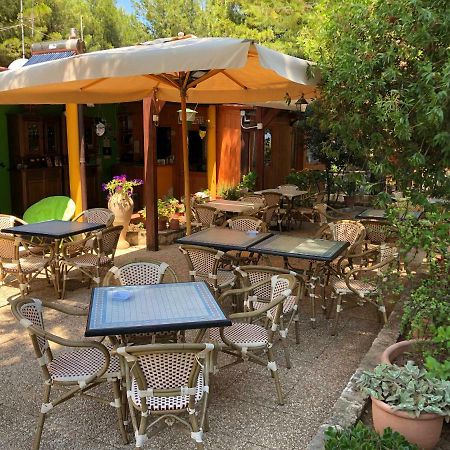 B&B Villa Carla Vieste Kültér fotó